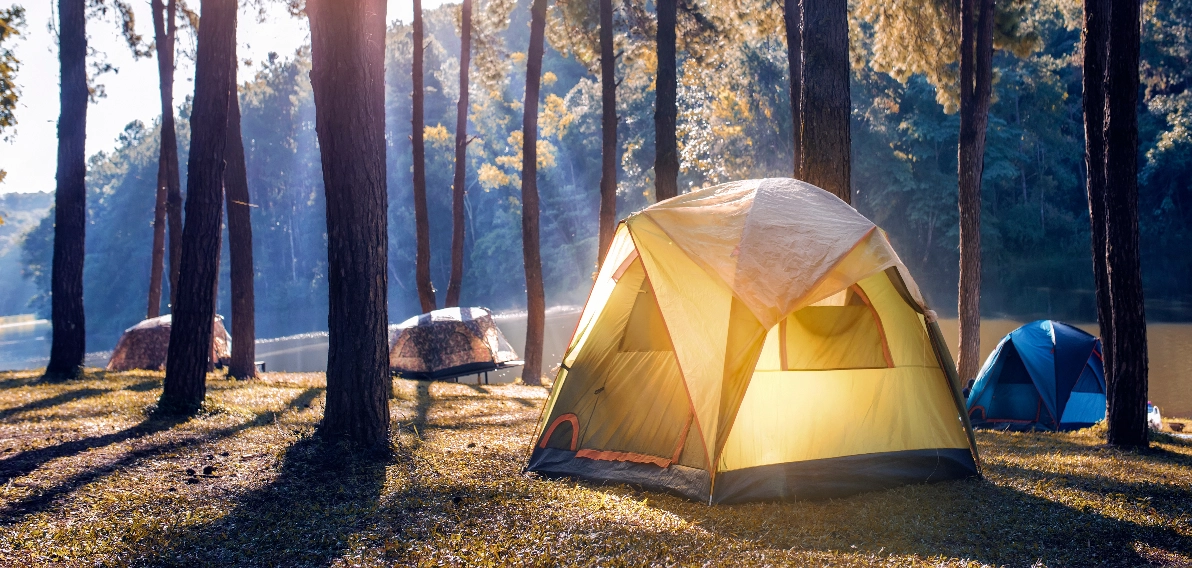Tec Nut Booking Software For Camping Supplies small business solutions , Need a new company website?: website builder, Website Templates, Website, Hosting, Trade Website, building a small business website, building small business website, Register Domain, Bootstrap Templates, New Website, WordPress
